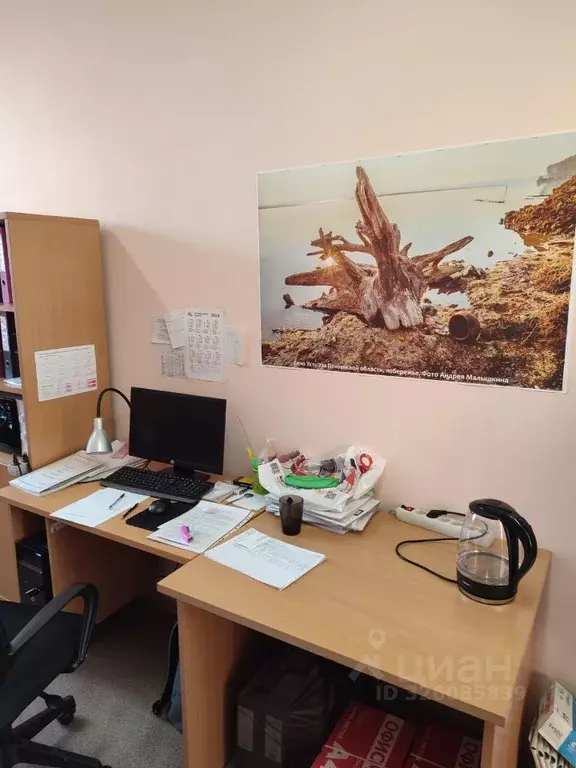 Помещение свободного назначения в Пензенская область, Пенза Окружная ... - Фото 1