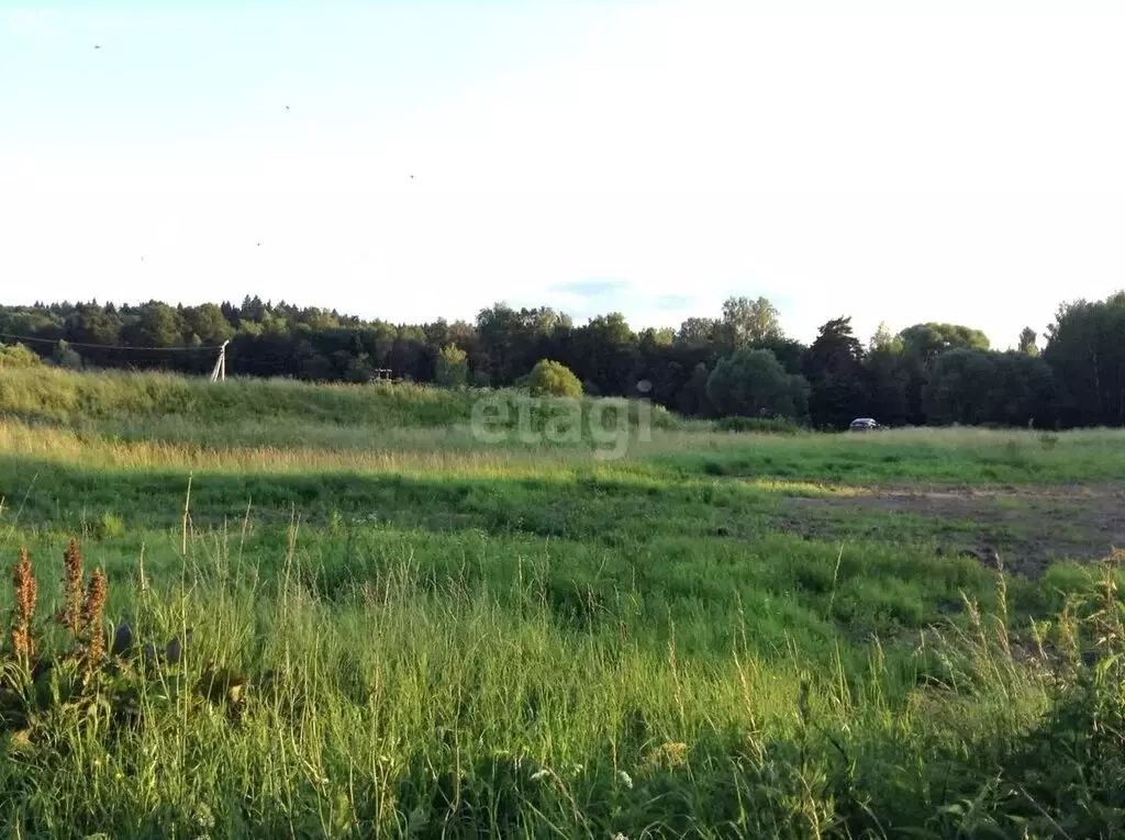 Участок в Московская область, городской округ Ступино, село Хатунь ... - Фото 1