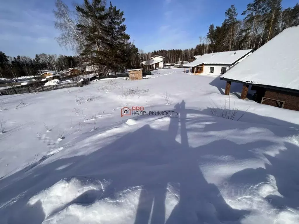 Участок в Новосибирская область, Новосибирский район, Барышевский ... - Фото 1