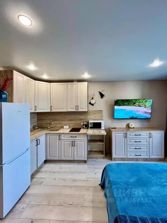 Студия Самарская область, Тольятти ул. Владимира Высоцкого, 9 (21.0 м) - Фото 2