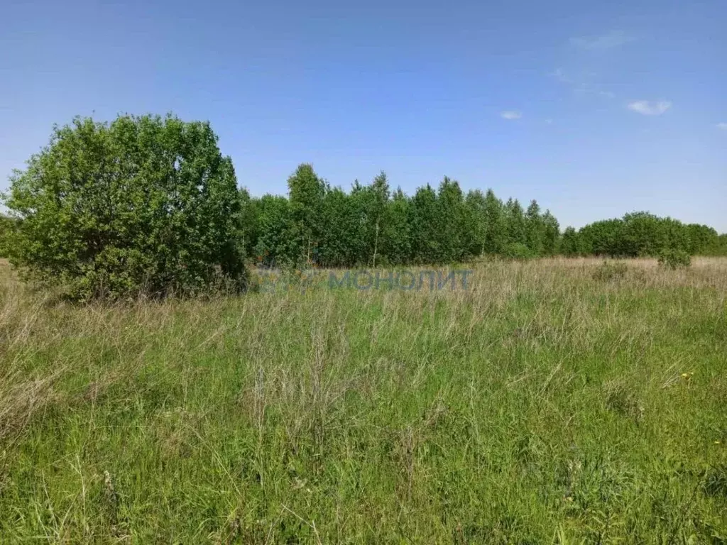Участок в Нижегородская область, Богородский муниципальный округ, с. ... - Фото 0