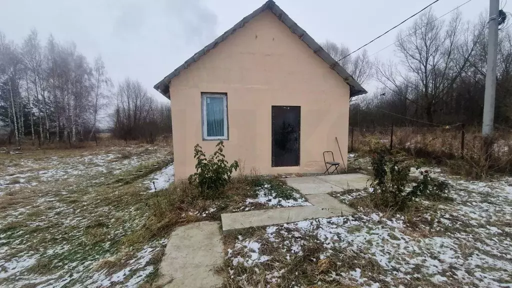 Дом в Московская область, Воскресенск городской округ, с. Петровское ... - Фото 0