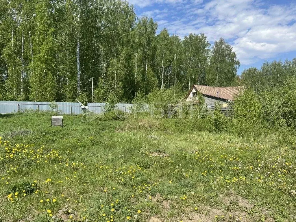 Участок в Тюменская область, Тюмень Сигнал садовое товарищество, ул. ... - Фото 1