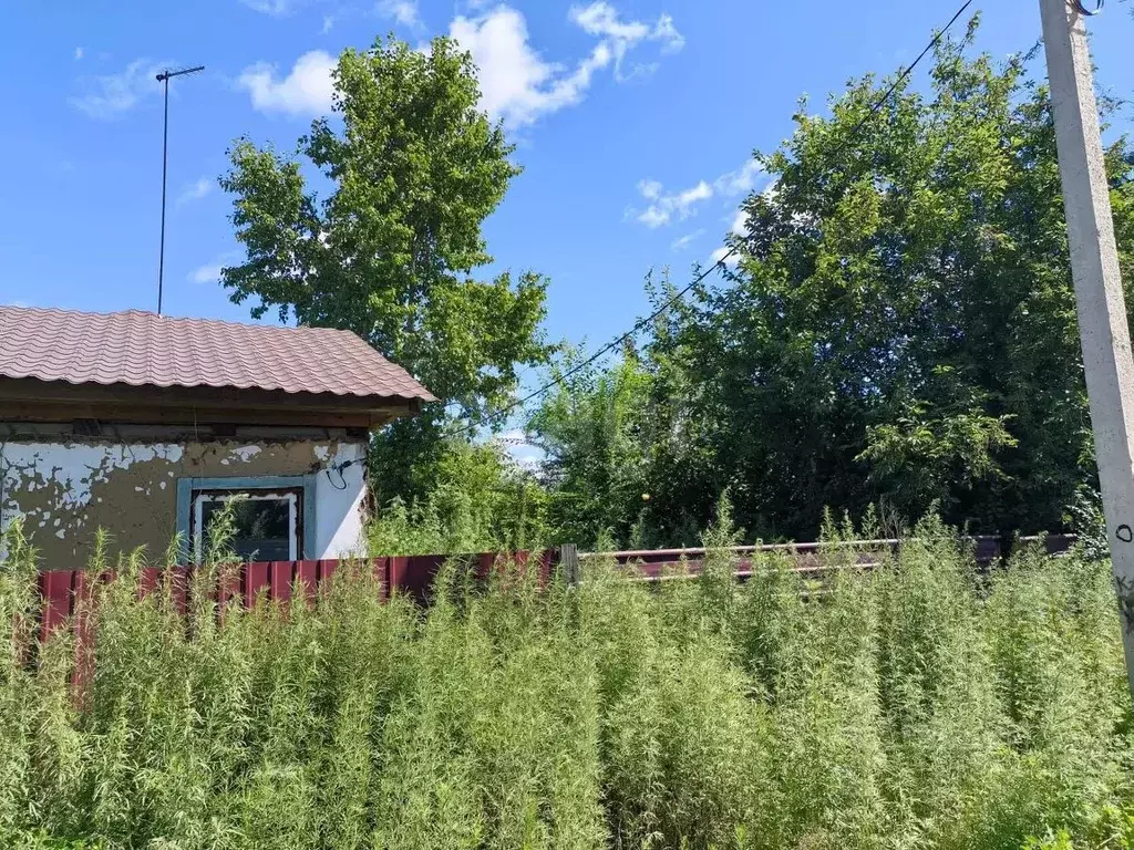 Участок в Амурская область, Благовещенский район, с. ... - Фото 1