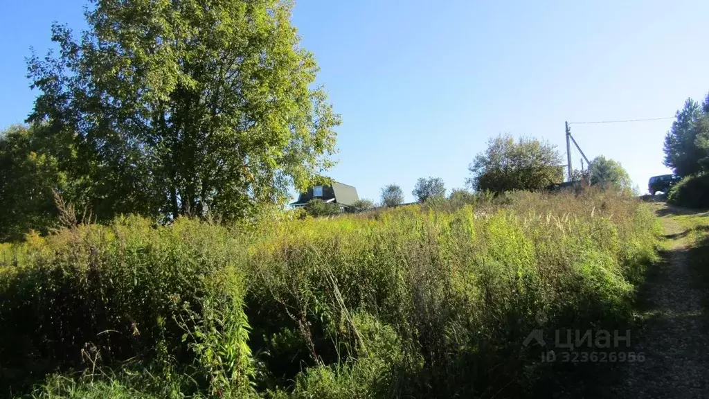 Участок в Московская область, Рузский муниципальный округ, д. Верхнее ... - Фото 2