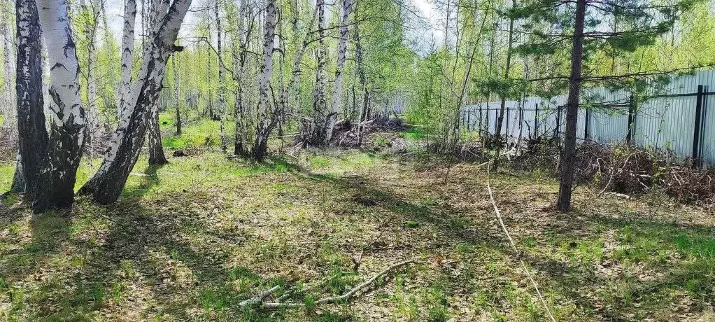 Участок в Челябинская область, Сосновский район, Кременкульское с/пос, ... - Фото 1