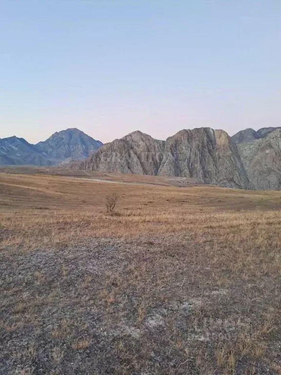 Участок в Алтай, Онгудайский район, с. Инегень  (200.0 сот.) - Фото 1