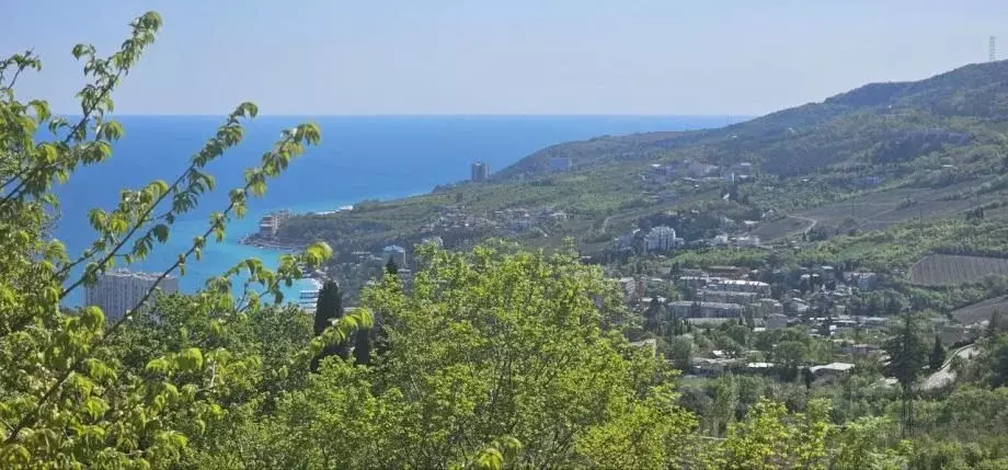 1-к кв. Крым, Алушта муниципальный округ, с. Виноградное ул. Сусловой, ... - Фото 2