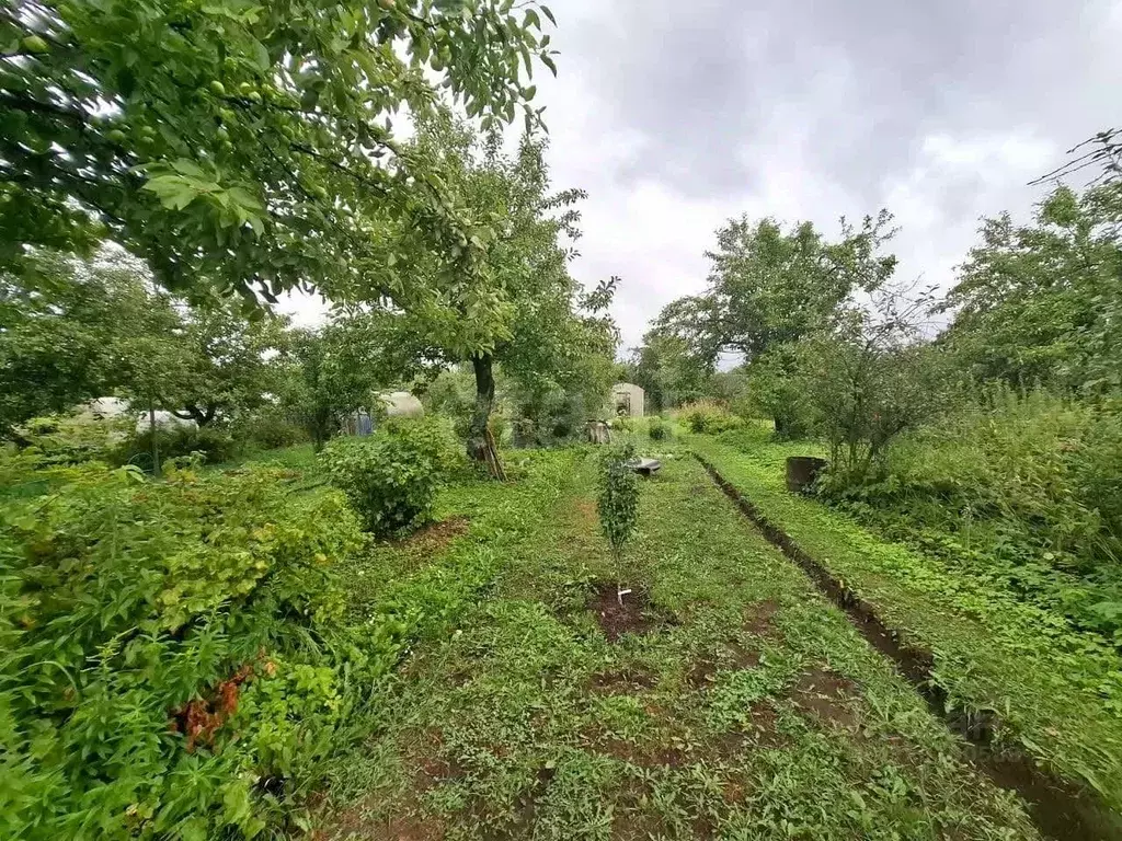 Дом в Костромская область, Кострома Энергетик садоводческое ... - Фото 1
