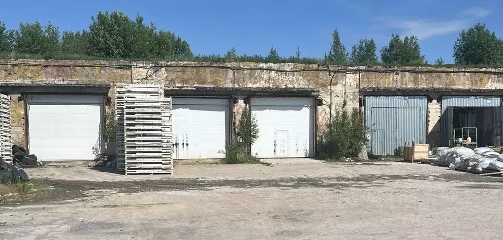 Производственное помещение в Ленинградская область, Всеволожский ... - Фото 2