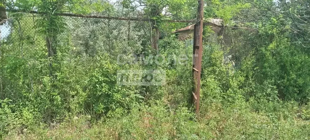 Участок в Астраханская область, Астрахань Садовод-любитель садовое ... - Фото 1