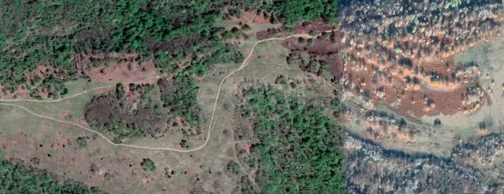 Участок в Адыгея, Майкопский район, Абадзехская ст-ца ул. Винника ... - Фото 1