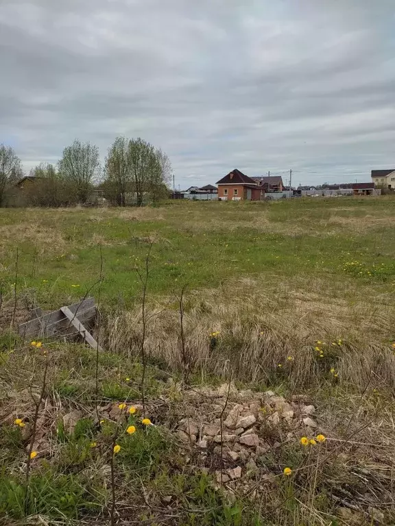 Участок в Новгородская область, Новгородский район, Савинское с/пос, ... - Фото 1