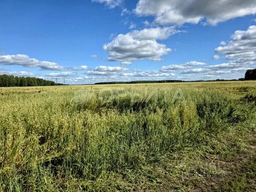 Участок в Тюменская область, Нижнетавдинский муниципальный округ, ... - Фото 1