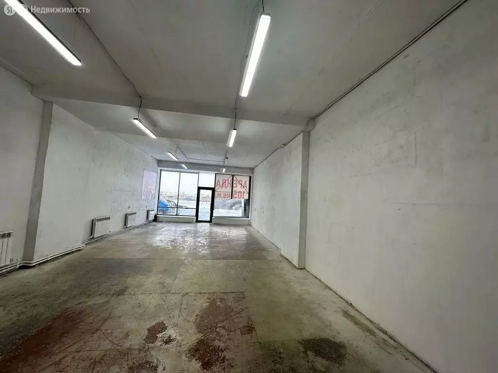 Помещение свободного назначения (105.5 м) - Фото 2