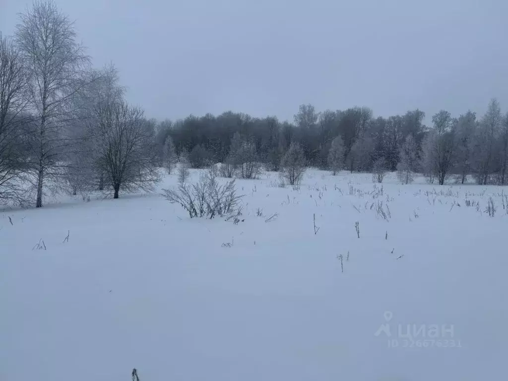 Участок в Московская область, Клин городской округ, д. Ковылино  ... - Фото 1