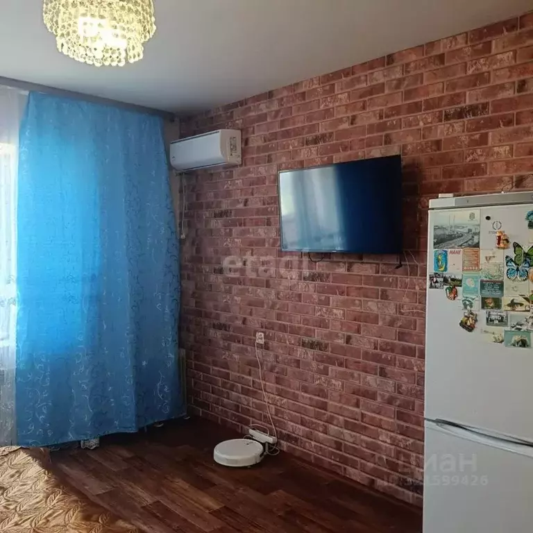 Студия Амурская область, Благовещенский район, с. Чигири Восточная ... - Фото 1