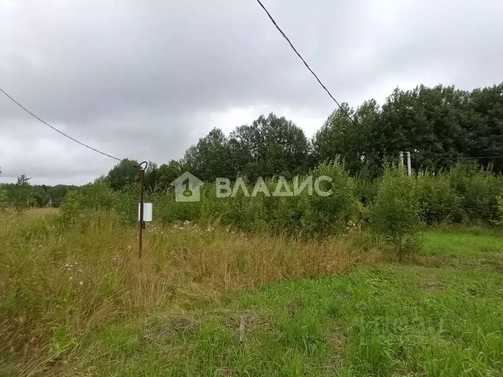 Участок в Вологодская область, пос. Васильевское  (12.5 сот.) - Фото 0