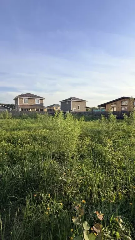 Участок в Московская область, Подольск городской округ, Новое Коледино ... - Фото 2