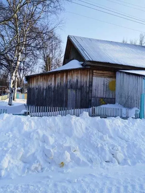 Помещение свободного назначения в Хабаровский край, Ульчский район, ... - Фото 1
