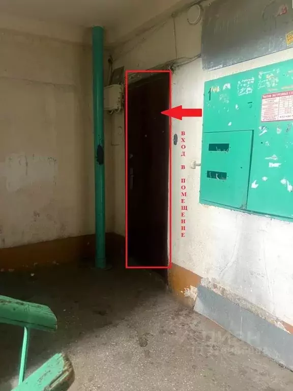 Помещение свободного назначения в Кемеровская область, Прокопьевск ул. ... - Фото 2