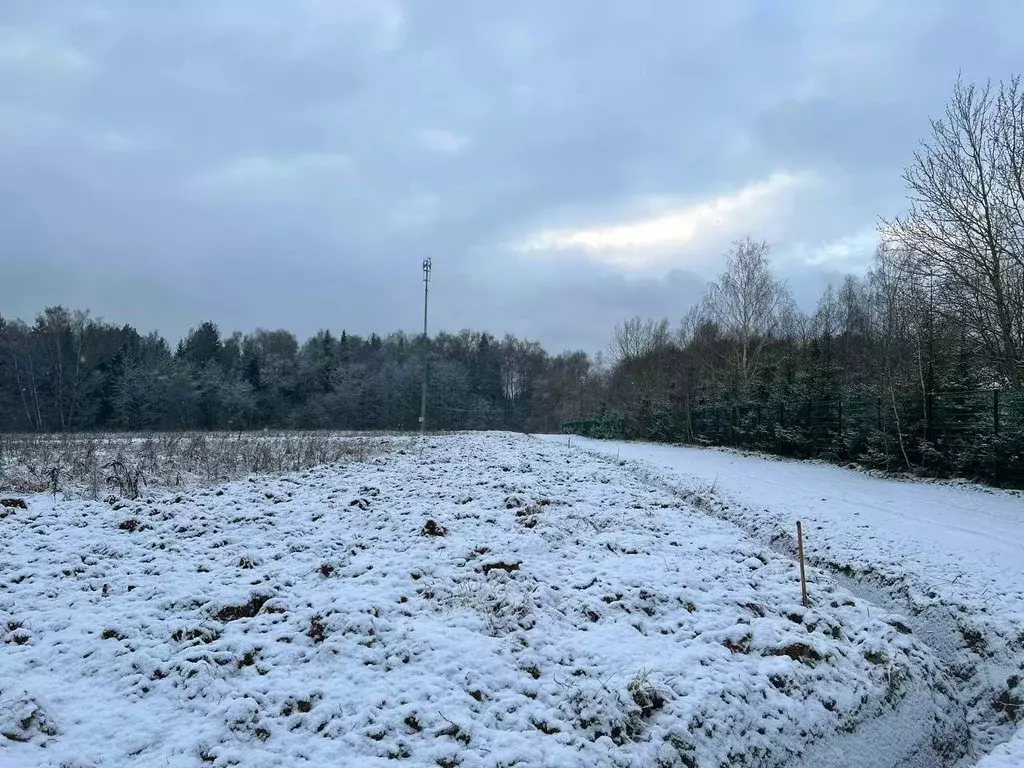 Участок в Московская область, Подольск городской округ, Пузиково кп  ... - Фото 0