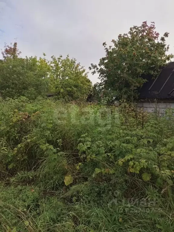 Участок в Коми, Сыктывдинский район, Лэзым муниципальное образование, ... - Фото 1