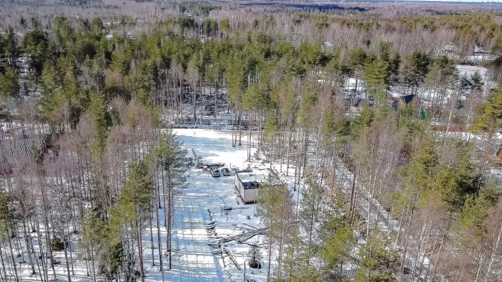 Участок в Ленинградская область, Всеволожское городское поселение, ... - Фото 0