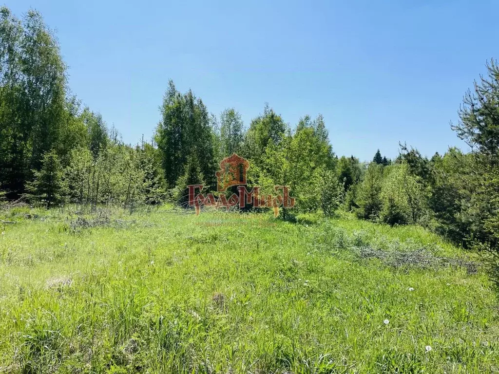 Участок в Владимирская область, Александровский район, Андреевское ... - Фото 1