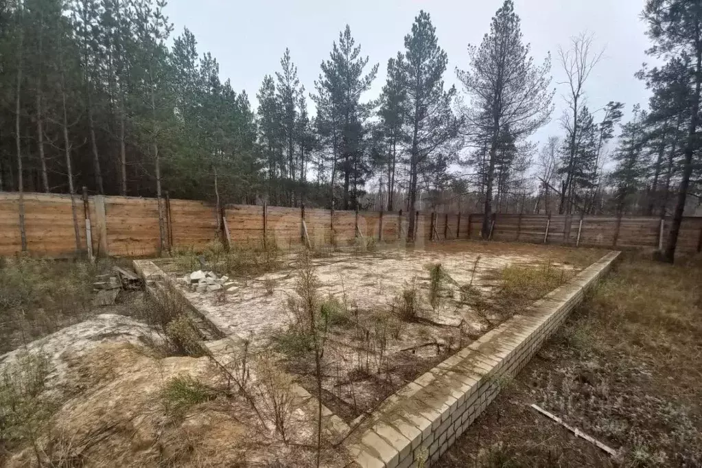 Участок в Воронежская область, Рамонский район, Новоживотинновское ... - Фото 1