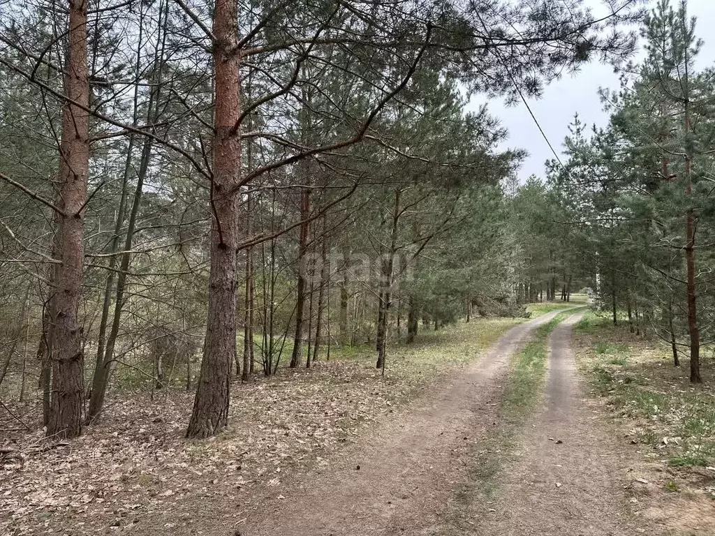 Участок в Калининградская область, Гвардейский муниципальный округ, ... - Фото 1