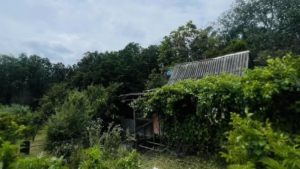 Участок в Краснодарский край, Горячий Ключ Кунпанова Поляна СТ, ул. ... - Фото 2