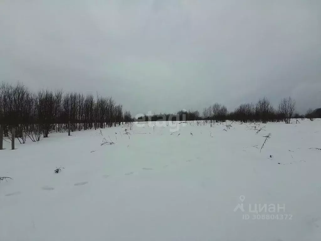 Участок в Брянская область, Дятьковский район, с. Слободище ... - Фото 0