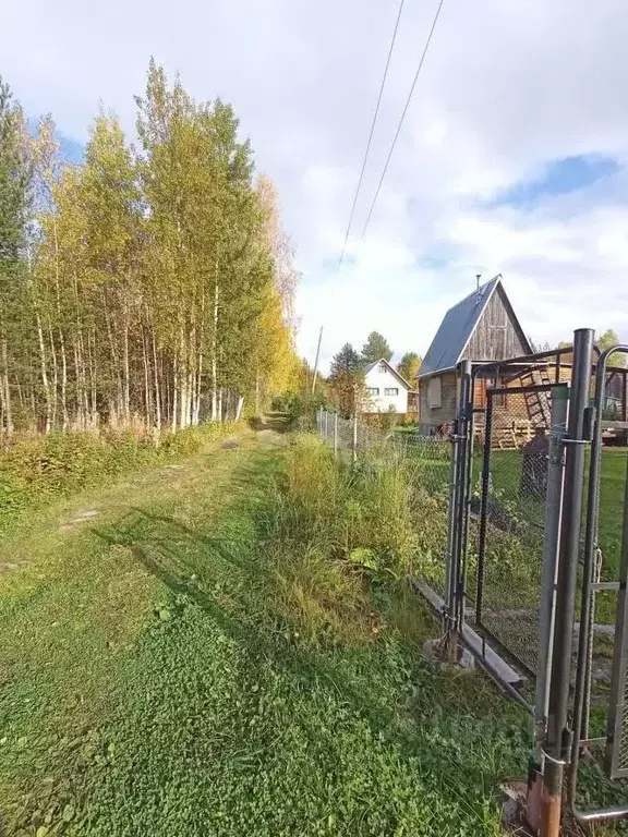 Дом в Архангельская область, Приморский муниципальный округ, Геолог ... - Фото 2
