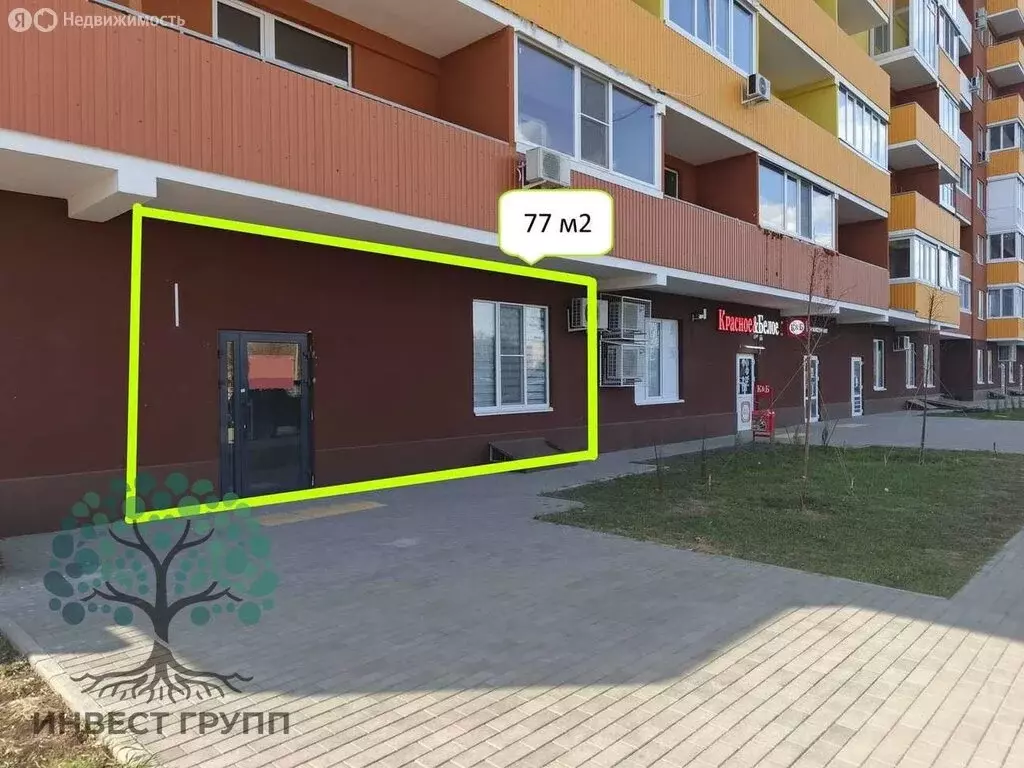 Торговая площадь (77 м) - Фото 1