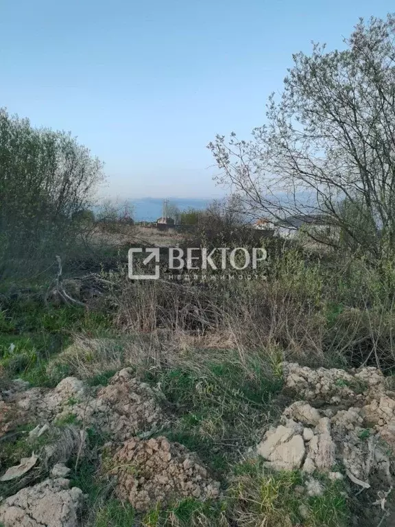 Участок в Ивановская область, Ивановский район, Коляновское с/пос, д. ... - Фото 1