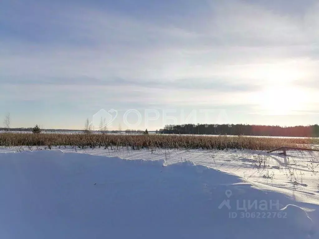 Участок в Тюменская область, Тюменский район, с. Каменка  (7.5 сот.) - Фото 0