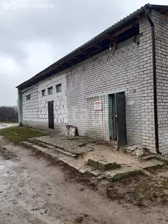 Помещение свободного назначения (270.4 м) - Фото 1