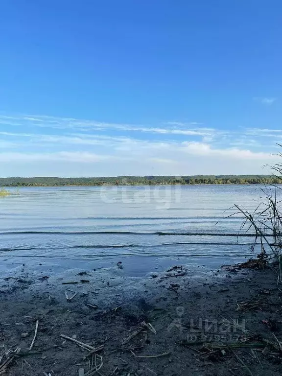 Участок в Татарстан, Зеленодольский район, Васильево муниципальное ... - Фото 1