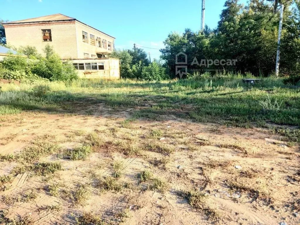 Участок в Волгоградская область, Среднеахтубинский район, Куйбышевское ... - Фото 1