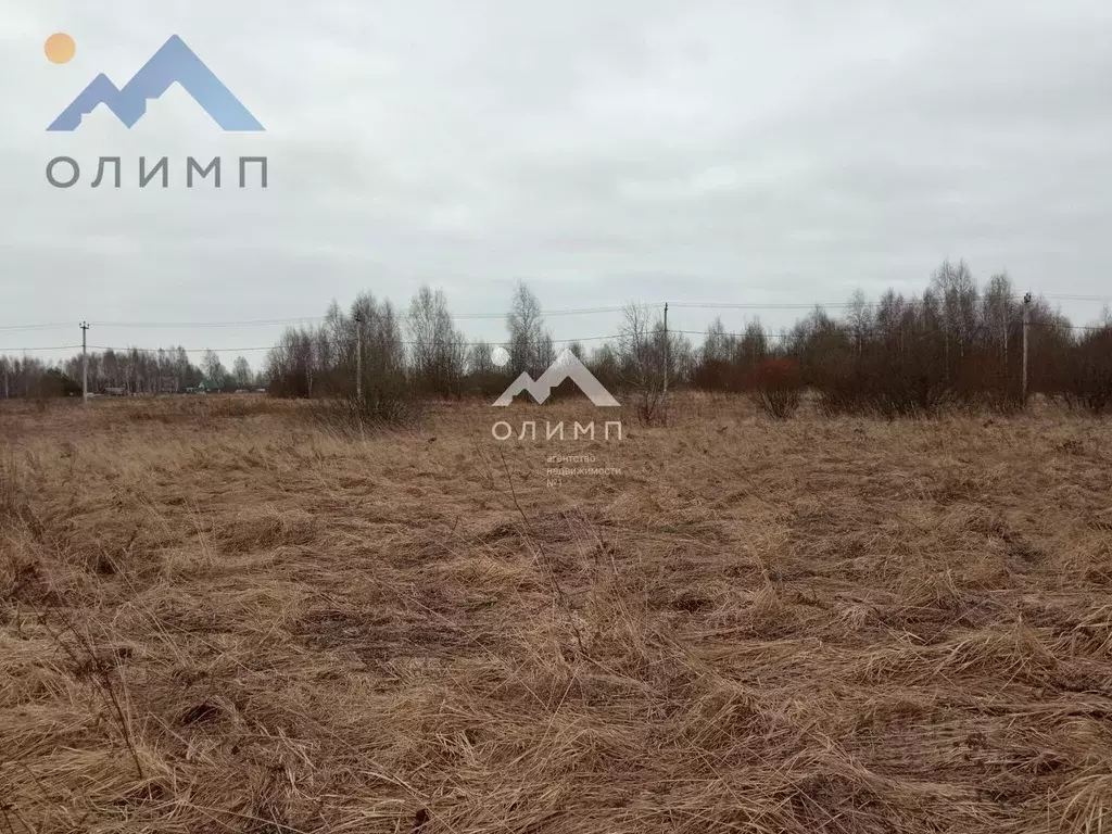 Участок в Ярославская область, Ярославский муниципальный округ, Новые ... - Фото 2