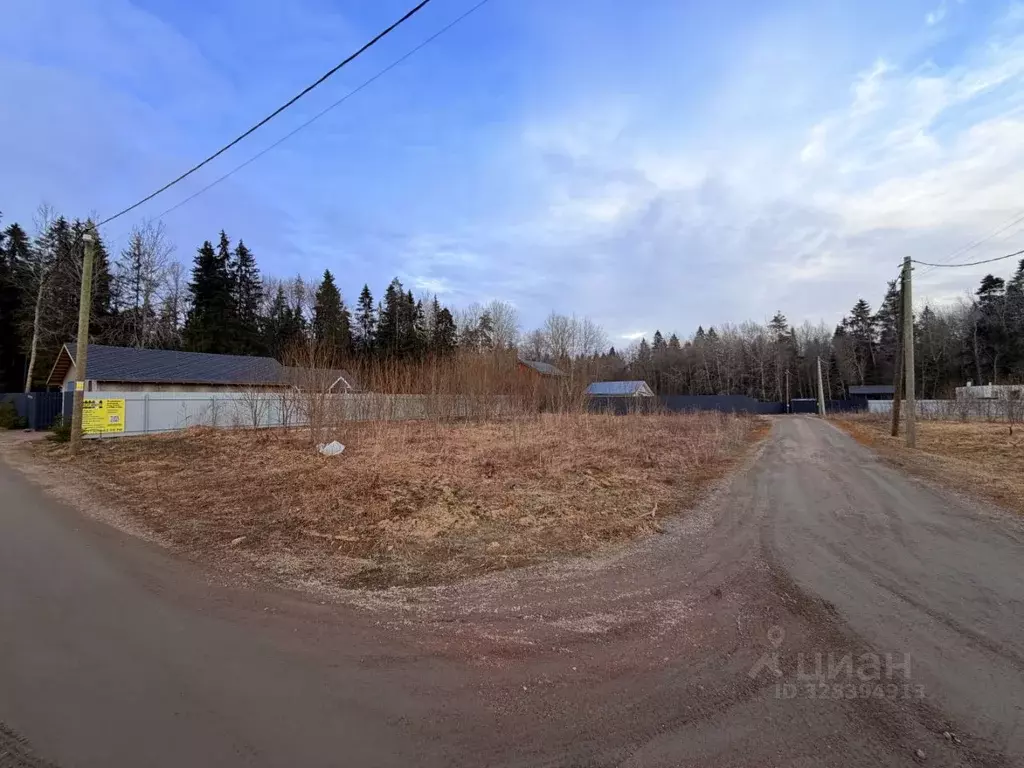 Участок в Ленинградская область, Волосовский район, Клопицкое с/пос, ... - Фото 0