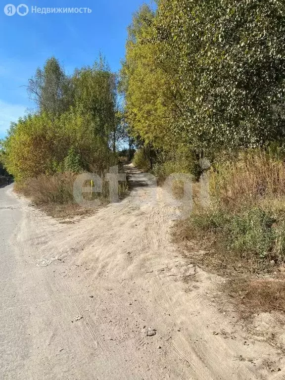 Участок в село Толмачево, СДТ Русь (5 м) - Фото 1