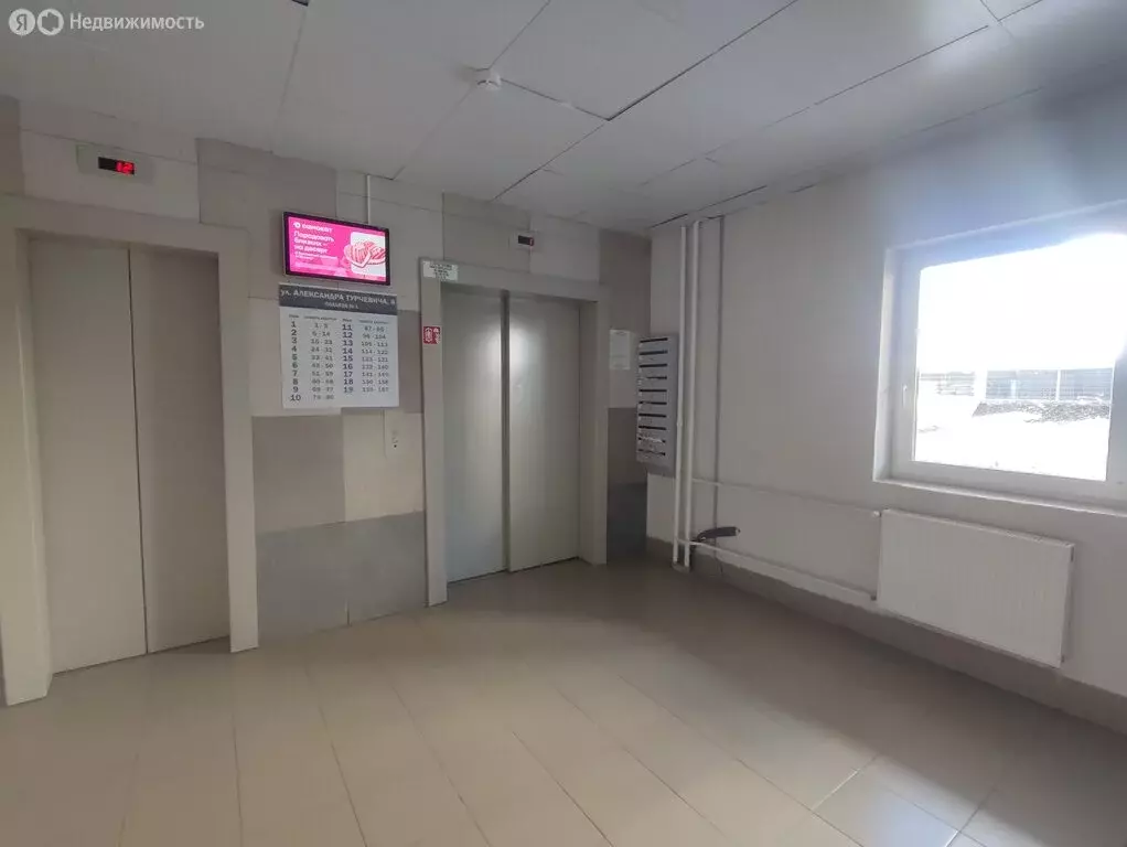 2-комнатная квартира: Пермь, улица Александра Турчевича, 8 (54.5 м) - Фото 1