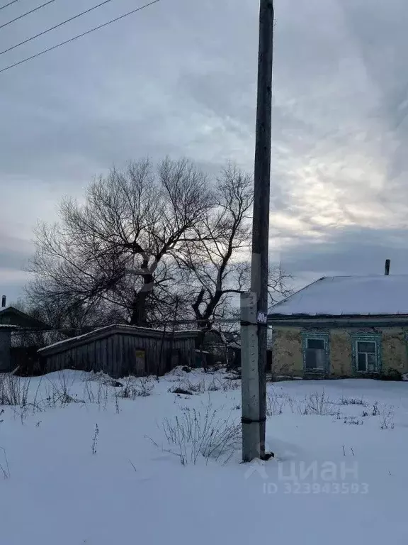 Участок в Мордовия, Ромодановский район, д. Лыковщина Республиканская ... - Фото 0