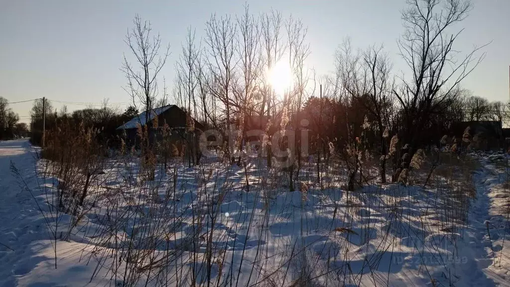 Участок в Еврейская автономная область, Смидовичский район, пос. ... - Фото 2