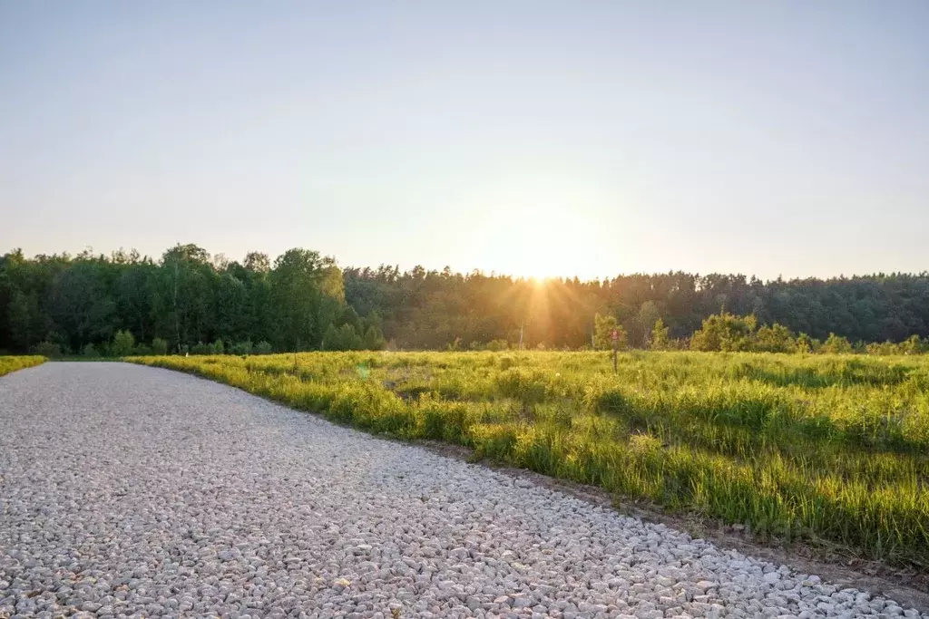 Участок в Московская область, Ступино городской округ, д. Лапино  ... - Фото 1
