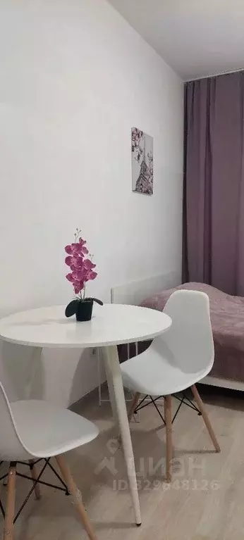 Студия Санкт-Петербург ул. Тосина, 6 (24.4 м) - Фото 1