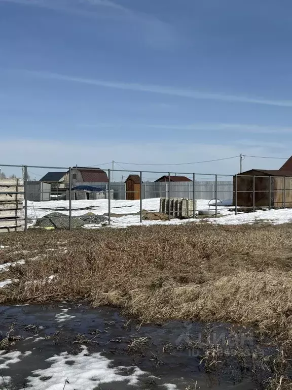 Участок в Тюменская область, Тюмень Большое Царево-2 СНТ, ул. Зеленая ... - Фото 1