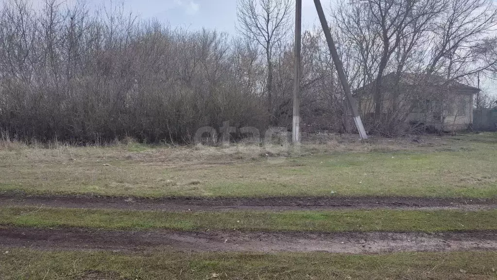 Участок в Воронежская область, Грибановский район, с. Листопадовка ... - Фото 0